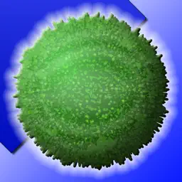 超级潜水毬藻